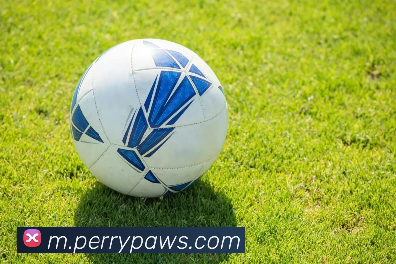 App 展示图